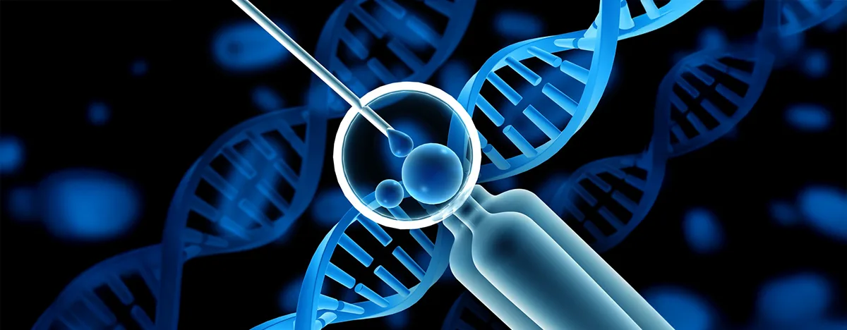 PGT Testi – Preimplantasiya Genetik Diaqnoz